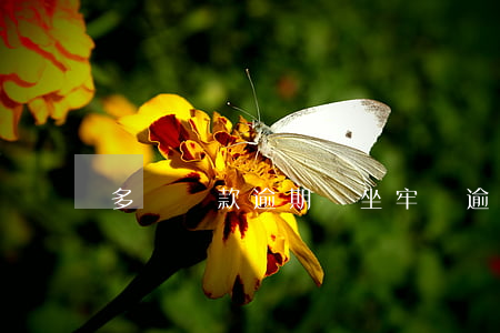 多筆貸款逾期會坐牢嗎(逾期十幾次還能貸款嗎)