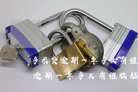 多米贷逾期一年多又有催收短信了-多米贷逾期一年多又有催收短信了怎么办
