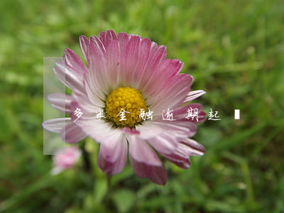 多米金融逾期起訴