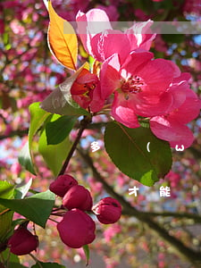 多網(wǎng)貸逾期多長時(shí)間才能辦信用卡-多網(wǎng)貸逾期多長時(shí)間才能辦信用卡呢