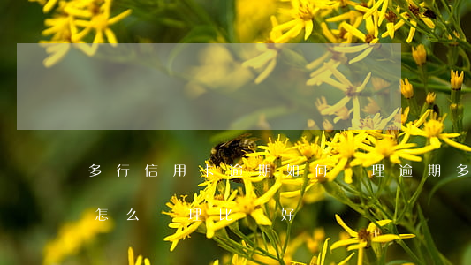 多行信用卡逾期如何處理(逾期多年的信用卡怎么處理比較好)