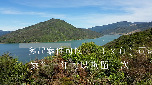 多起案件可以連續(xù)司法拘留嗎(民事案件一年可以拘留幾次)