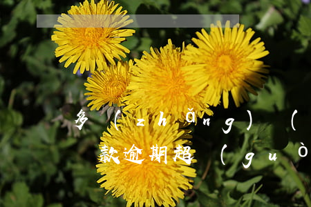 多長(zhǎng)時(shí)間定義為還款逾期(超過(guò)多久還款叫逾期)