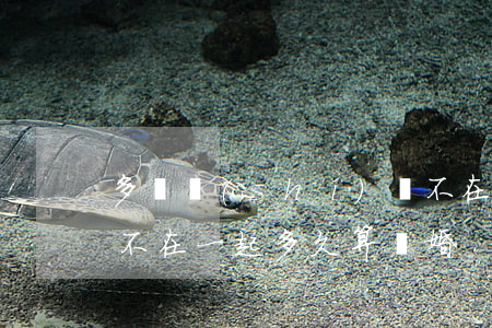 多長時(shí)間不在一起才能離婚(雙方不在一起多久算離婚)
