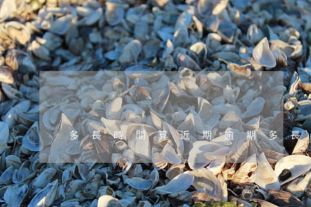 多長時間算近期逾期(多長時間算近期逾期)
