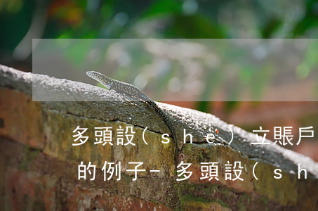 多頭設(shè)立賬戶,拖欠銀行本息案例的例子-多頭設(shè)立賬戶,拖欠銀行本息 什么意思