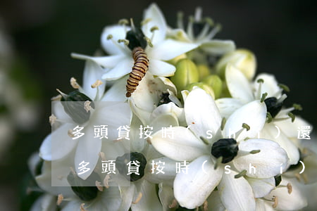多頭貸按時(shí)還款無(wú)逾期(多頭貸按時(shí)還款無(wú)逾期)