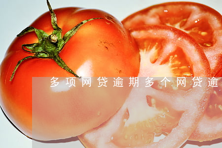 多项网贷逾期(多个网贷逾期后果)