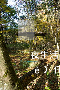 夜生活一夜情小心要負(fù)刑事責(zé)任