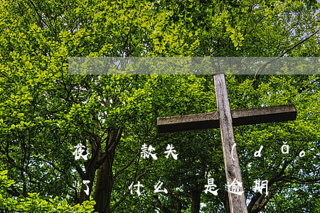 夜間還款失敗導(dǎo)致逾期(貸款還清了為什么還是逾期)