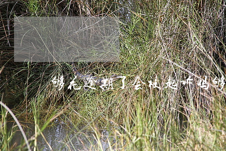 够花逾期了会被起诉吗(够花逾期两年了)