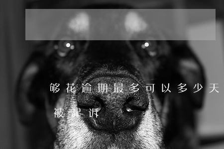 够花逾期最多可以多少天-够花逾期多久会被起诉