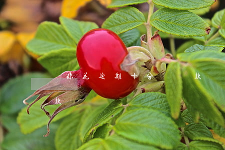 夠你花逾期十分鐘還款(夠你花逾期十分鐘還款)