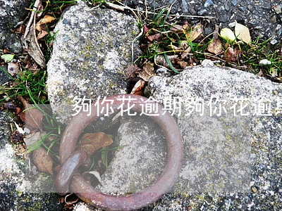 夠你花逾期(夠你花逾期不讓還了)