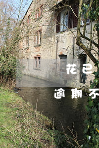 夠花已經(jīng)還款卻顯示逾期(夠花逾期不讓還了)