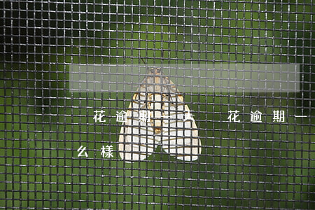 夠花逾期一天(夠花逾期一天會(huì)怎么樣)