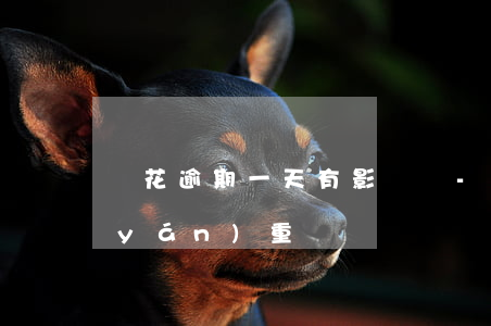 夠花逾期一天有影響嗎-夠花逾期一天嚴(yán)重嗎