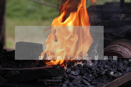 夠花逾期幾天 夠花逾期幾天起訴