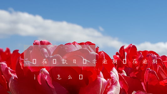 夠花還款日顯示逾期(夠花逾期一天會(huì)怎么樣)