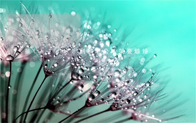 夢(mèng)到和老公吵架要離婚