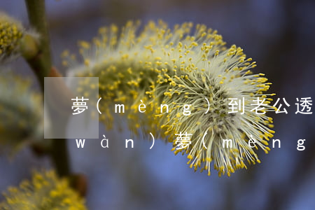 夢(mèng)到老公透支信用卡50萬(wàn)(夢(mèng)見(jiàn)透支信用卡)