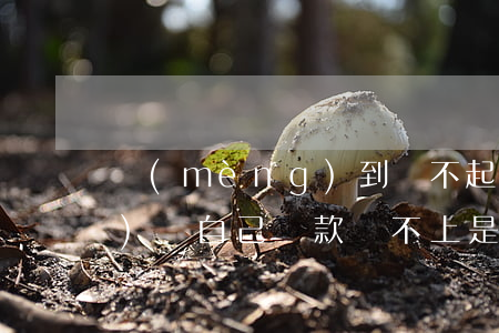 夢(mèng)到還不起貸款 夢(mèng)見自己貸款還不上是什么寓意