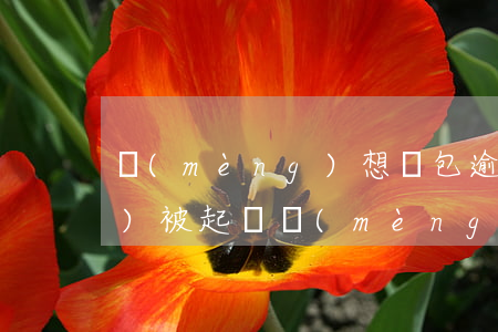 夢(mèng)想錢包逾期多久會(huì)被起訴 夢(mèng)想錢包短信逾期