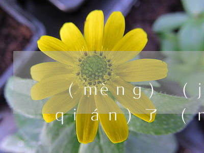 夢(mèng)見(jiàn)欠銀行錢(qián)了(夢(mèng)見(jiàn)銀行卡欠了很多錢(qián))