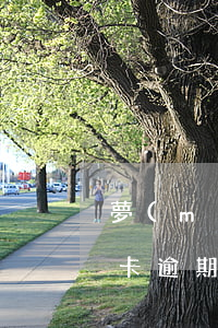 夢(mèng)見(jiàn)自己的信用卡逾期了(夢(mèng)到信用卡逾期未還)