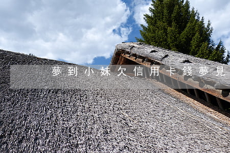 夢到小妹欠信用卡錢(夢見妹妹欠我錢不還)