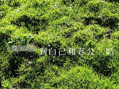 夢到自己和老公離婚