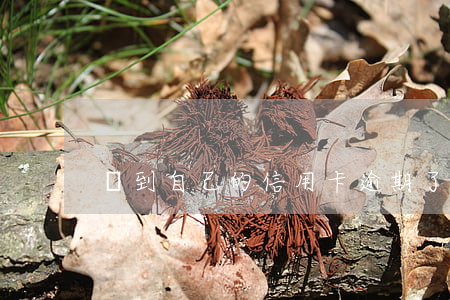 夢到自己的信用卡逾期了-夢到欠信用卡
