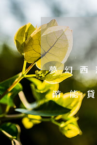 夢幻西游欠網(wǎng)貸20萬(夢幻西游能貸款嗎)
