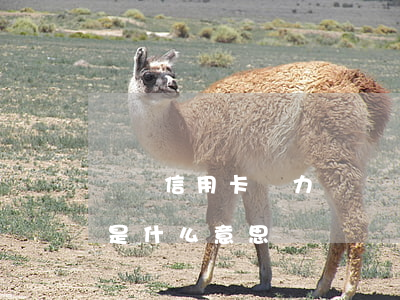 夢見信用卡無力償還 夢見自己的信用卡丟了是什么意思