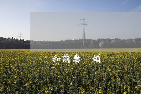 夢見和前妻離婚
