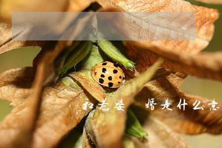 夢見和老婆離婚是什么意思