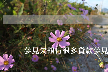 夢見欠銀行很多貸款 夢見自己欠銀行貸款