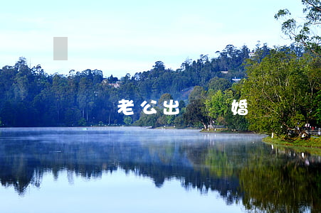 夢見老公出軌離婚