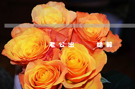夢見老公出軌離婚解夢