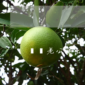 夢見老公提出離婚