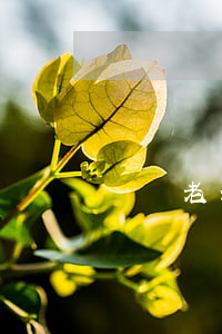 夢見老公欠錢被起訴(夢見老公欠錢別人來要債)