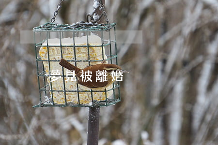 夢見被離婚