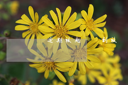 夢見逾期被起訴(夢到被訴訟)