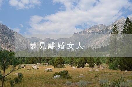 夢見離婚女人