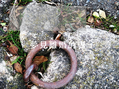 夢見離婚的妻子