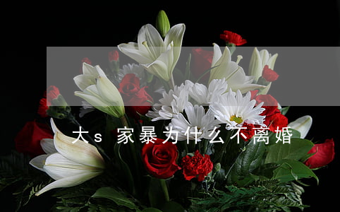 大s家暴为什么不离婚