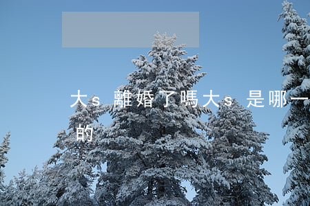 大s離婚了嗎(大s是哪一年結(jié)婚的)