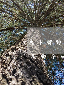 大丰律师事务所哪个比较出名(丰润律师事务所哪个好)