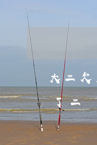 大二欠五萬塊錢網(wǎng)貸怎么辦(欠了二萬多網(wǎng)貸不知道該怎么辦了)