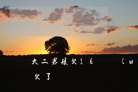 大二男孩欠16萬網(wǎng)貸(大學生欠了兩萬)